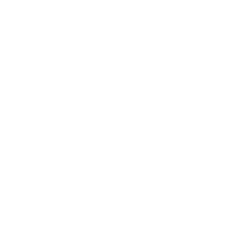 EY white logo no padding