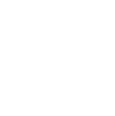 EY white logo no padding