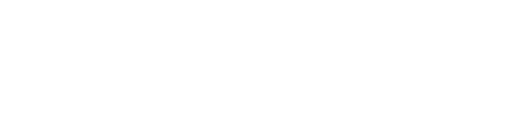 Capgemini white logo no padding