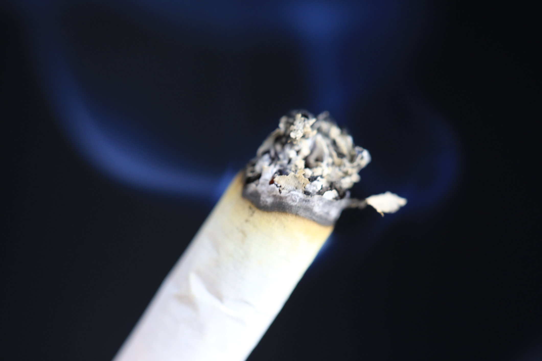 A photo of a cigarette smoldering against a dark blue background.